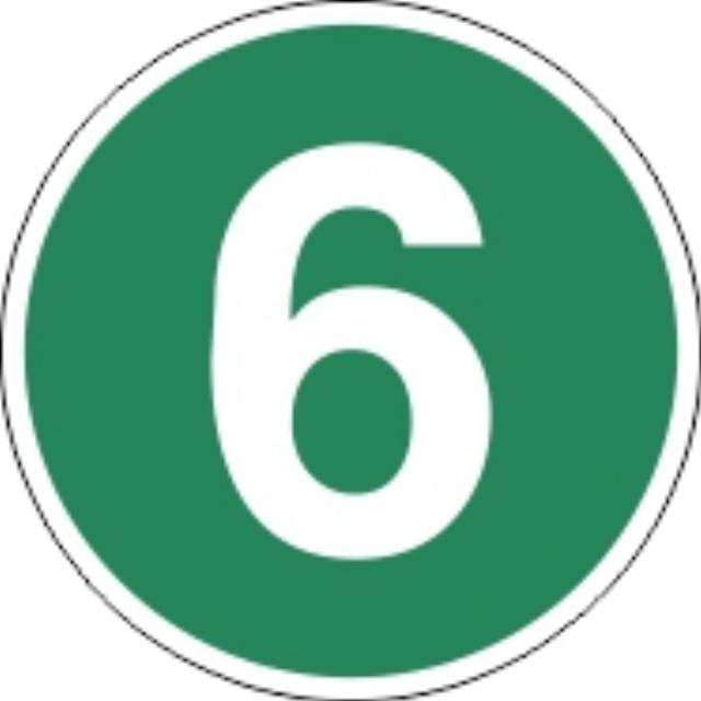 Matrică 6 EURO 6