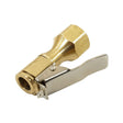 Capăt de furtun cu clemă, cu cataramă și filet de 1/4" 