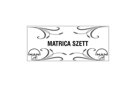 Set de autocolante 4 bucăți pentru geamurile laterale cu tipuri de camioane 