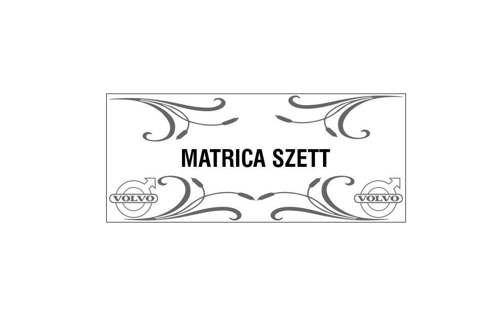 Set de autocolante 4 bucăți pentru geamurile laterale cu tipuri de camioane 