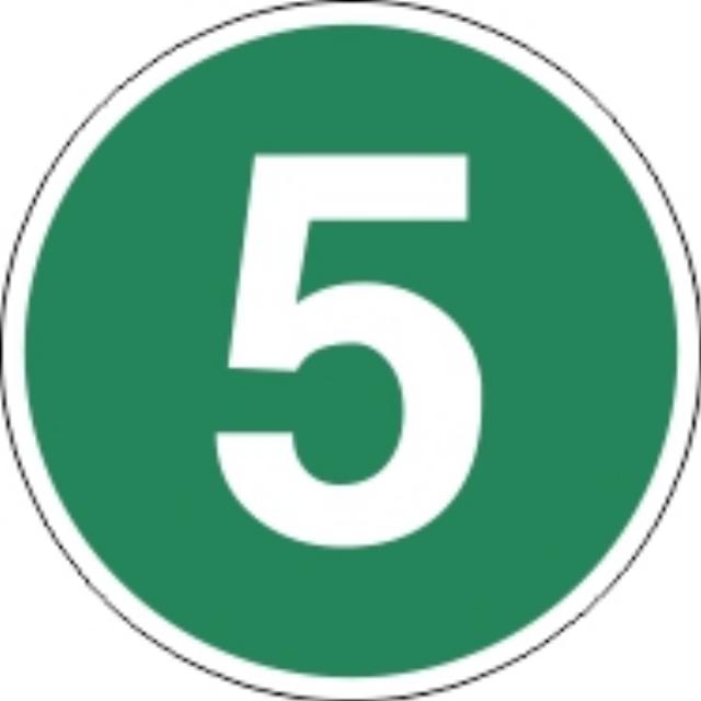 Vignetă 5 EURO 5 
