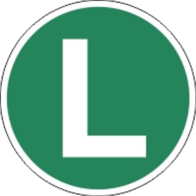 Matrica L /liniștit/ 