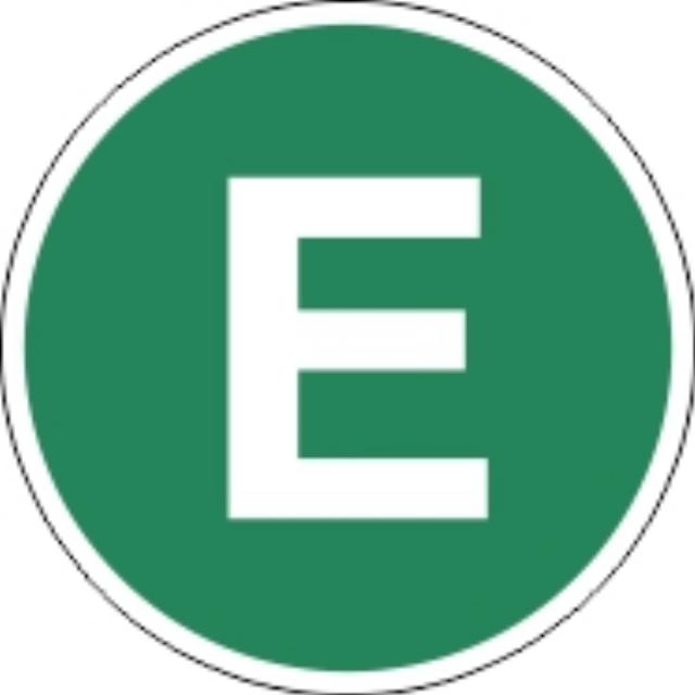 Matrică E EUR4 cerc verde alb E 