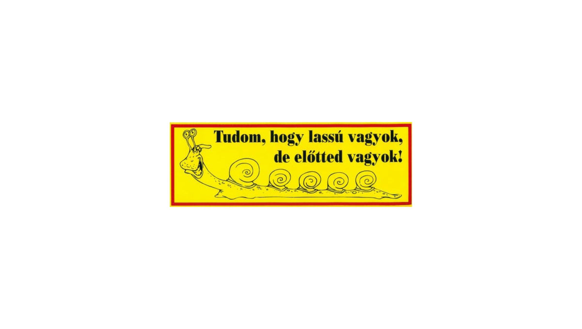 Matrica Știu că sunt lent ... 