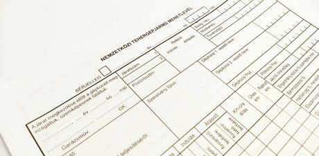 Formular HU Document de Călătorie Internațional, 2 variante