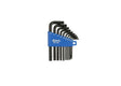 Set Torx 10 bucăți cu tija scurtă 